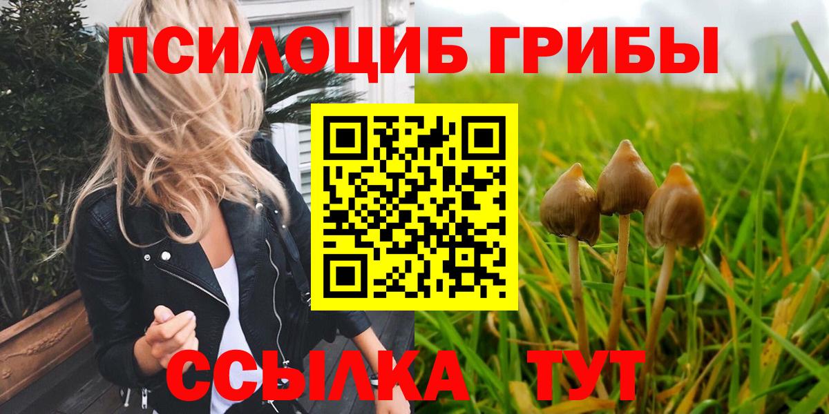 Галлюциногенные грибы Magic Shrooms Великий Устюг