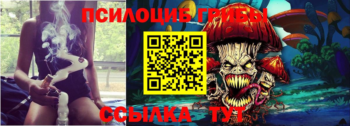 наркота  Псилоцибиновые грибы мухоморы  Великий Устюг  Вход с VPN  Псилоцибиновые грибы Cubensis 